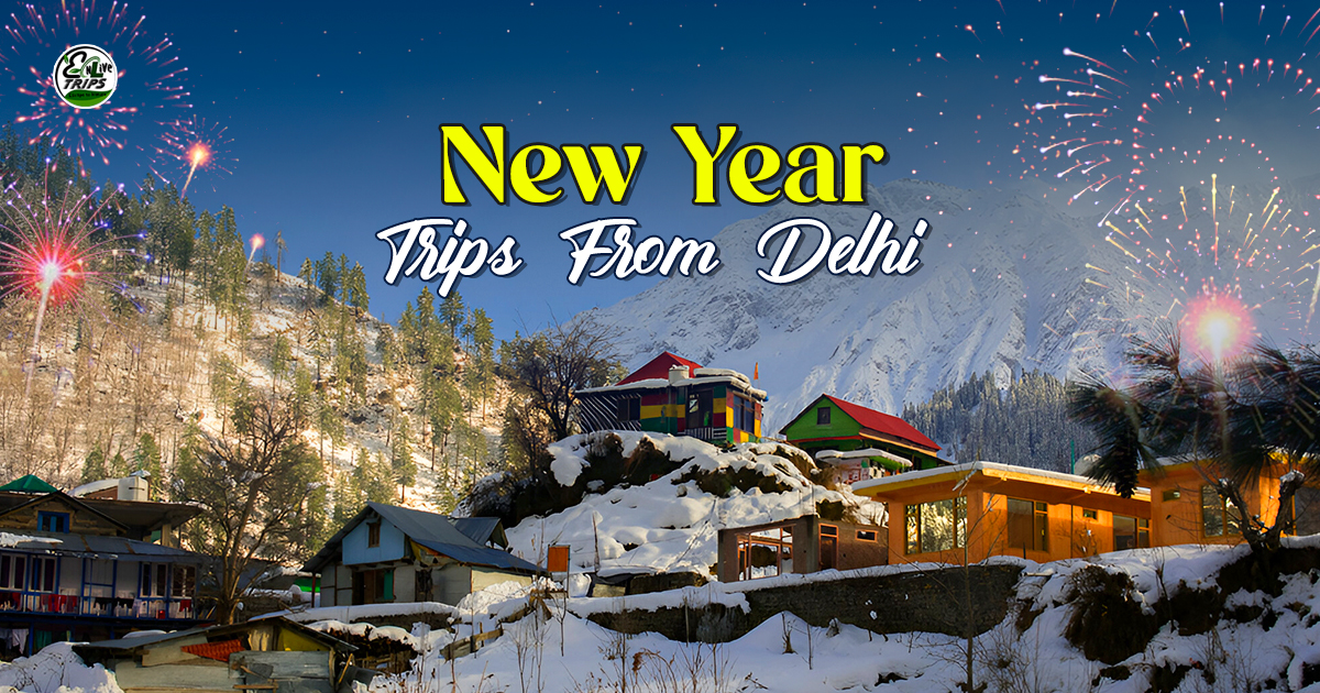 New year tour packages 2025 